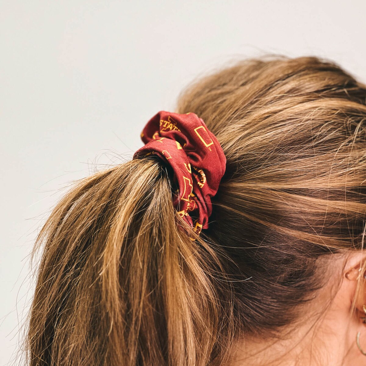 ZooZatz I-State Cardinal Scrunchie